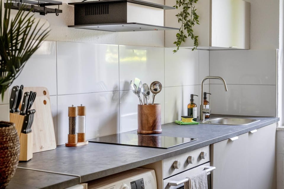 Kitchen or kitchenette, dishwasher, stove