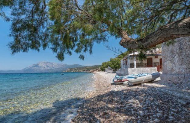 Little nest Apartment in Samos Prefecture