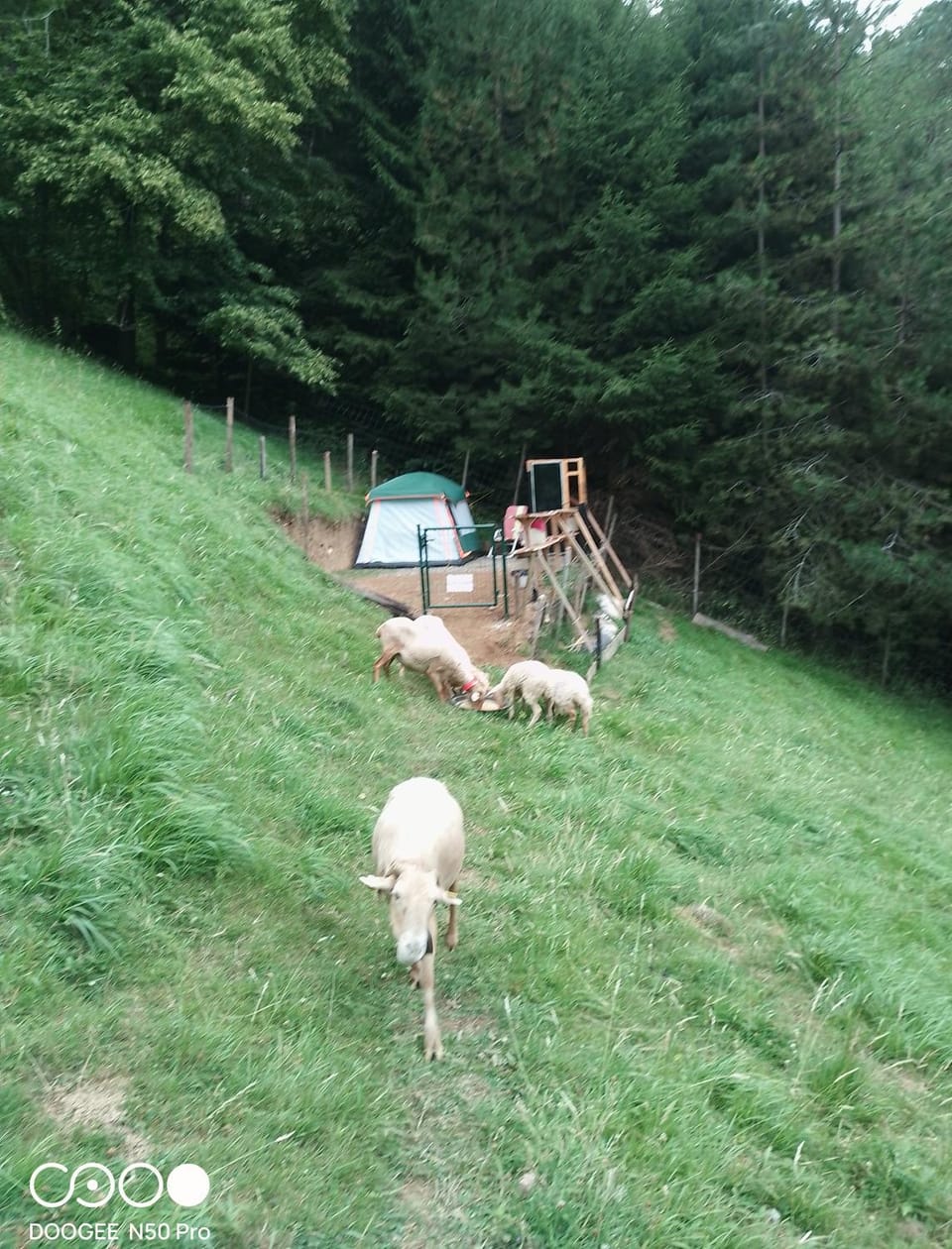 Tente tout confort Luxury tent in Occitanie