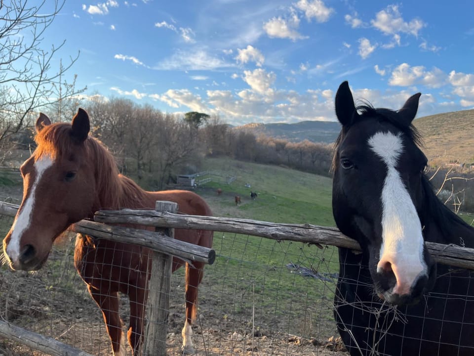 Casale dei cappuccini Farm Stay in Abruzzo