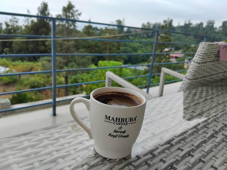 Nice Hotel Apartment in Adjara, Georgia