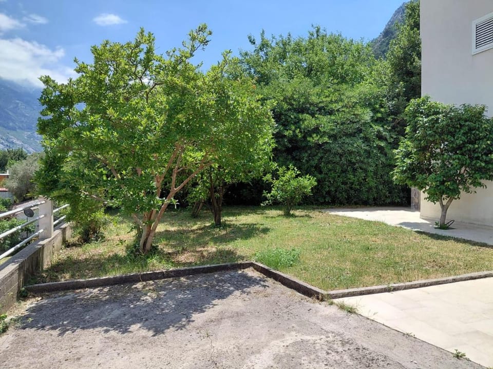 Garden, Parking