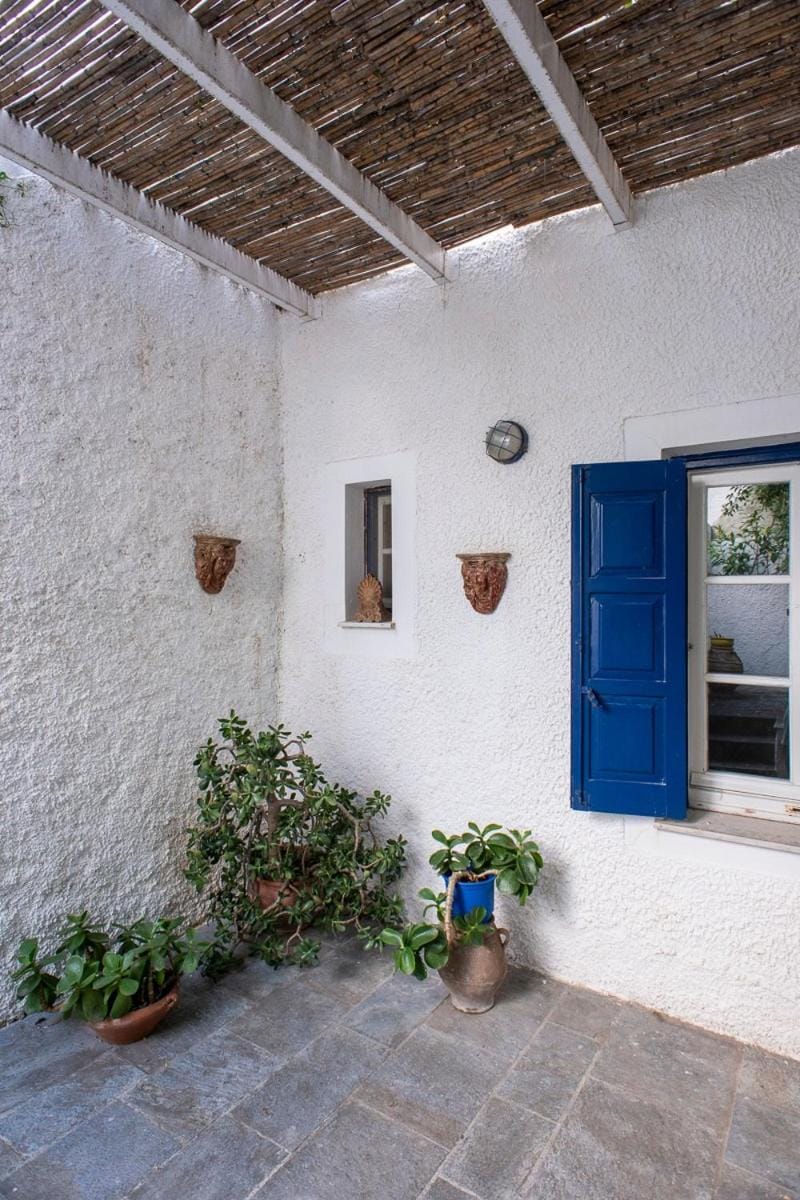 Spetses island cozy vacation house Apartment in Spetses