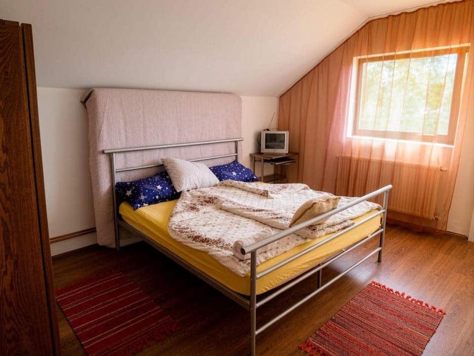 Casa Nemeth House in Timiș County