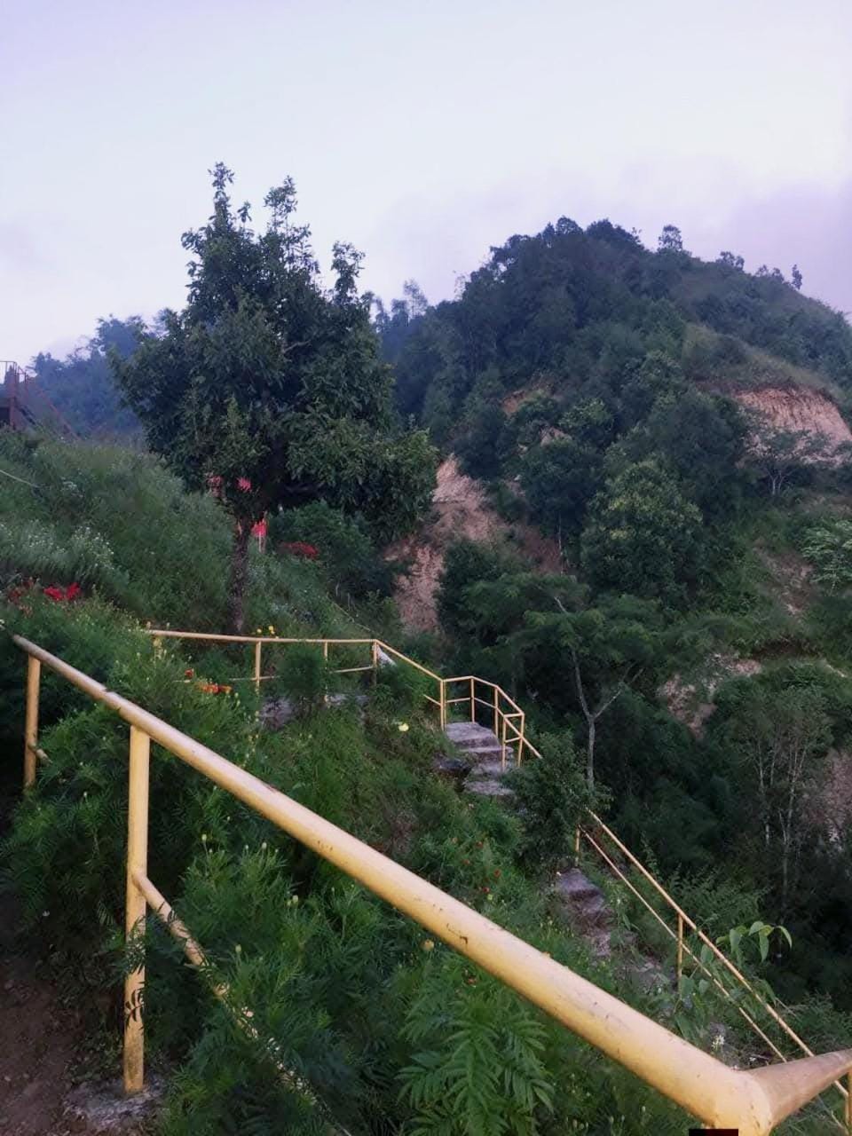 Rock garden resort Shree Antu ilam nepal Campground/ 
RV Resort in Nepal