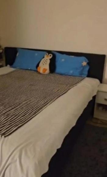 Cozy Apartment 15 min to Center and Airport Apartment in Copenhagen