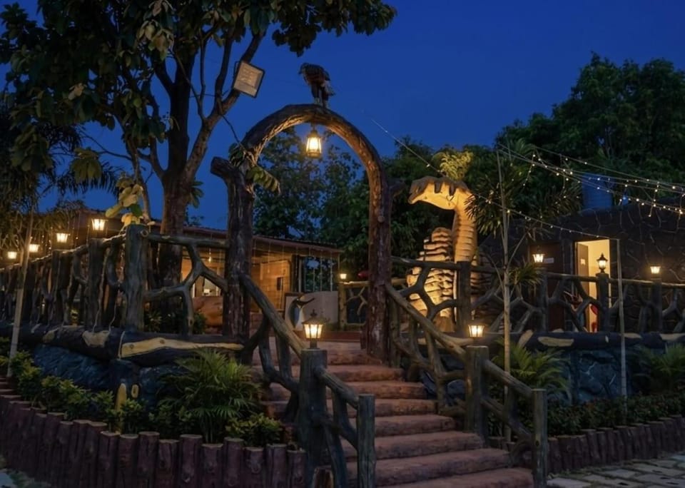 Night, Garden, Garden view