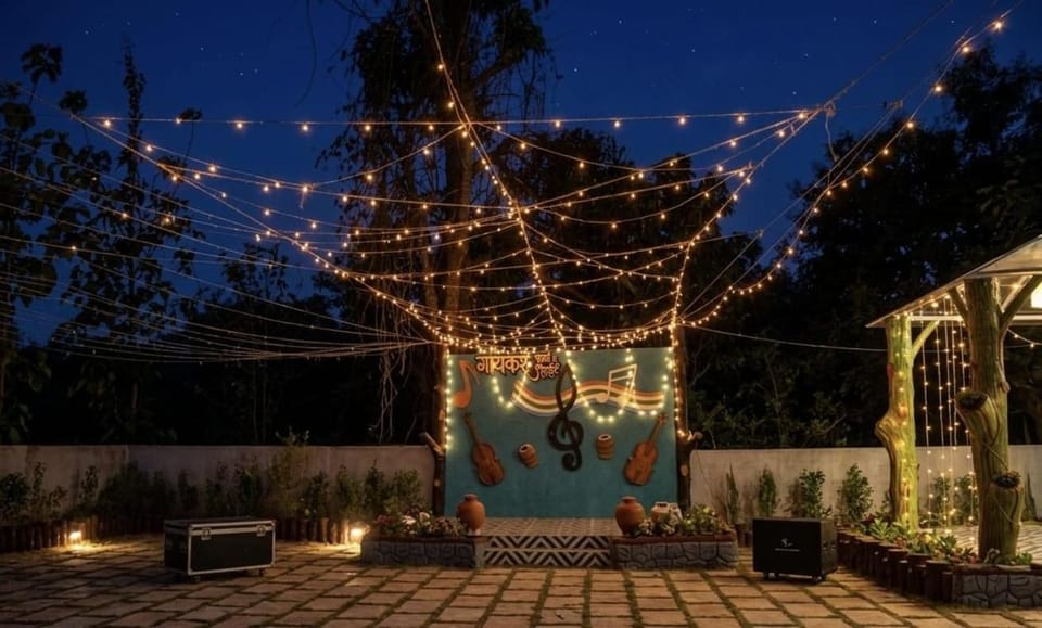 Night, Garden, Garden view