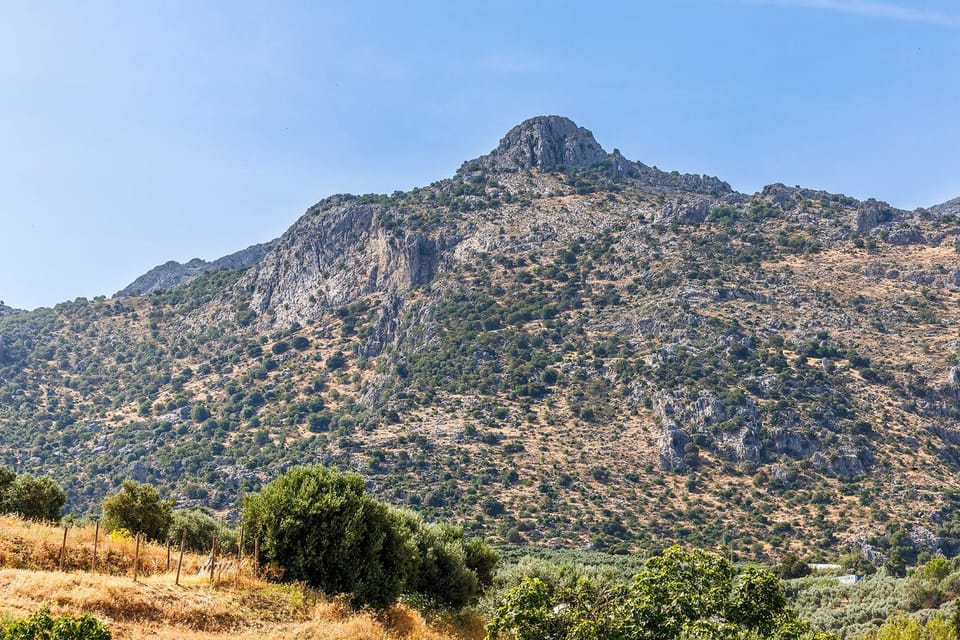 Mountain view