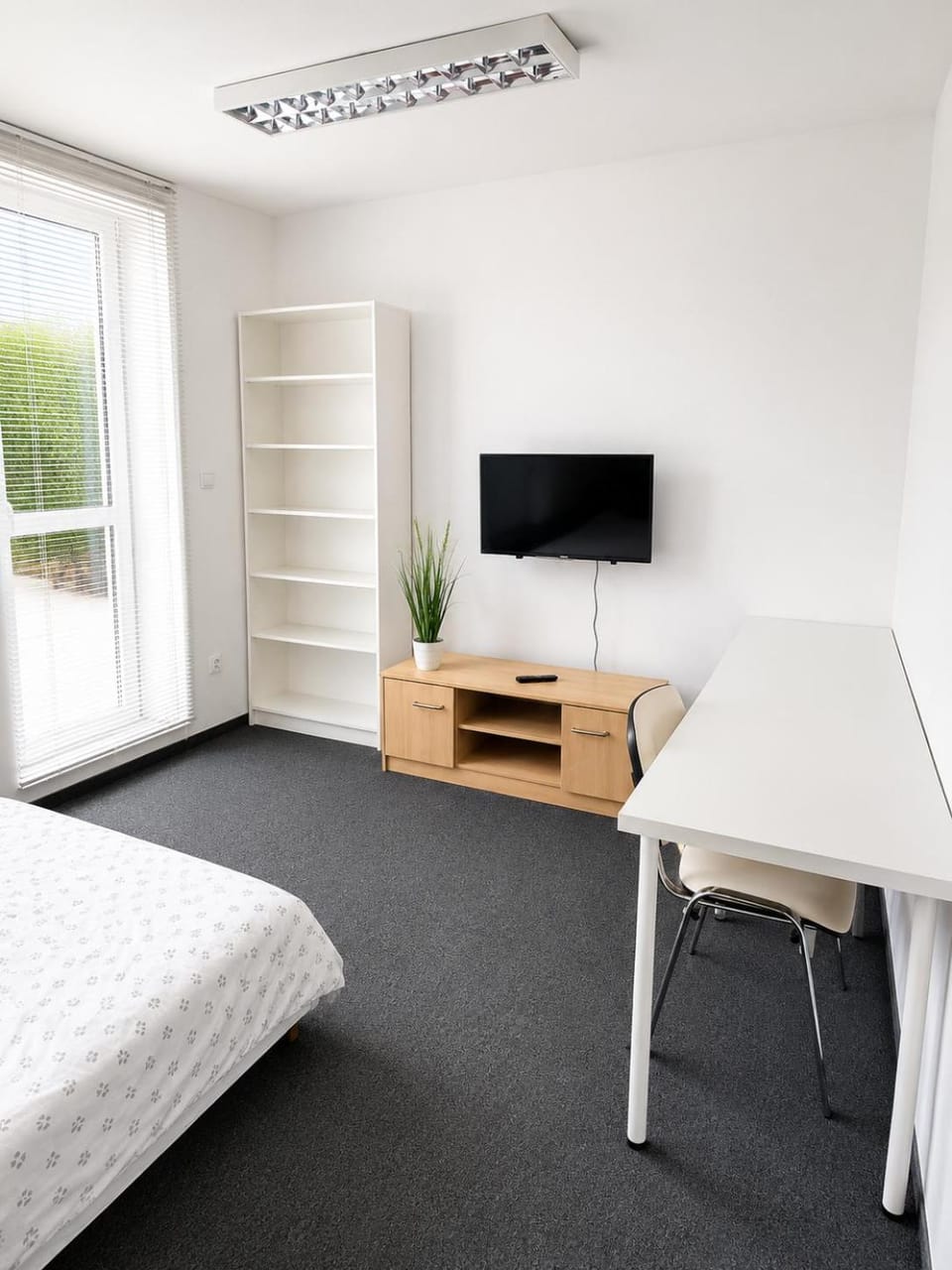 Photo of the whole room