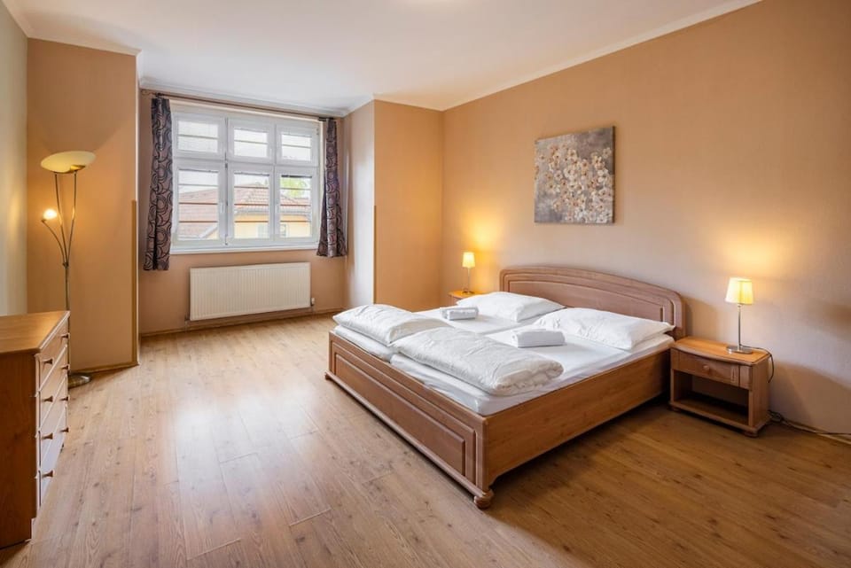 City Center Teplic Apartment in Piešťany Apartment in Slovakia