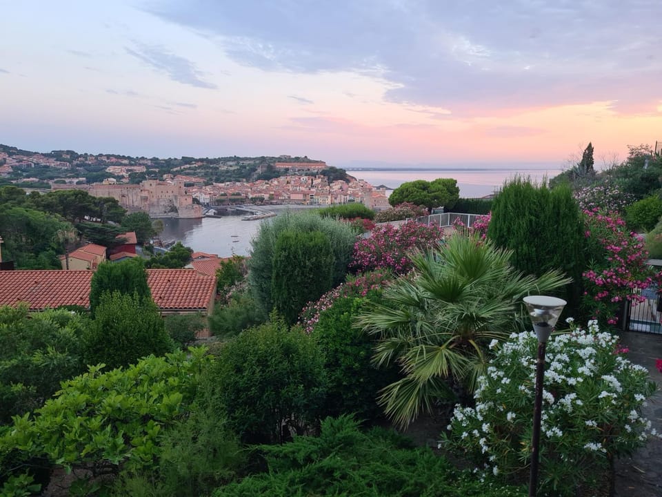 Vue de carte postale et piscine ! Apartment in Collioure