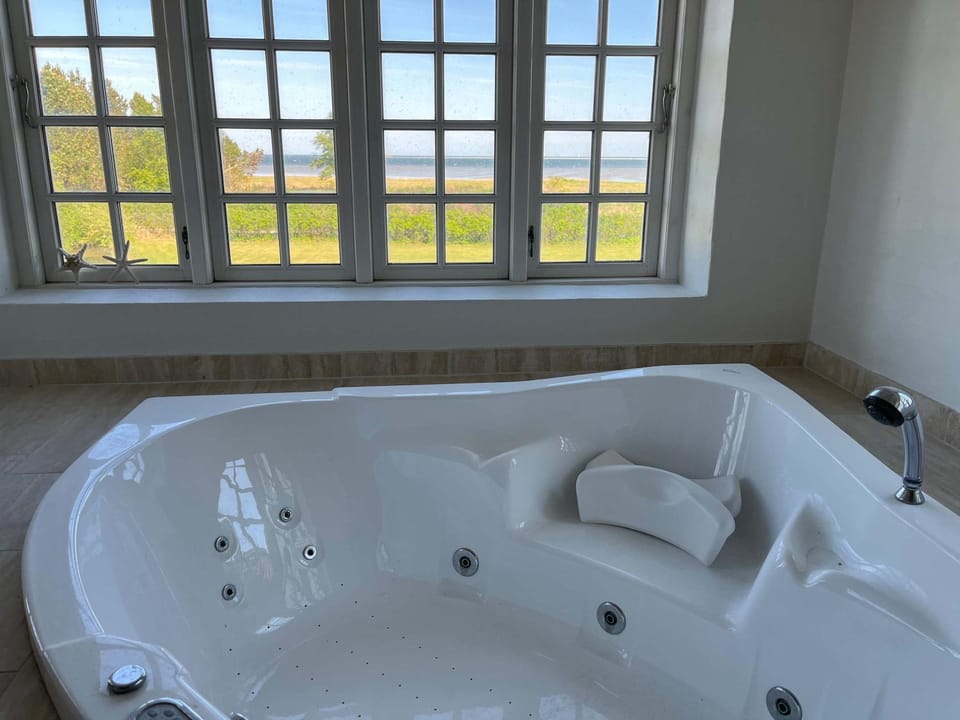 Grand Danish Manor W Stunning Sea Views House in Denmark
