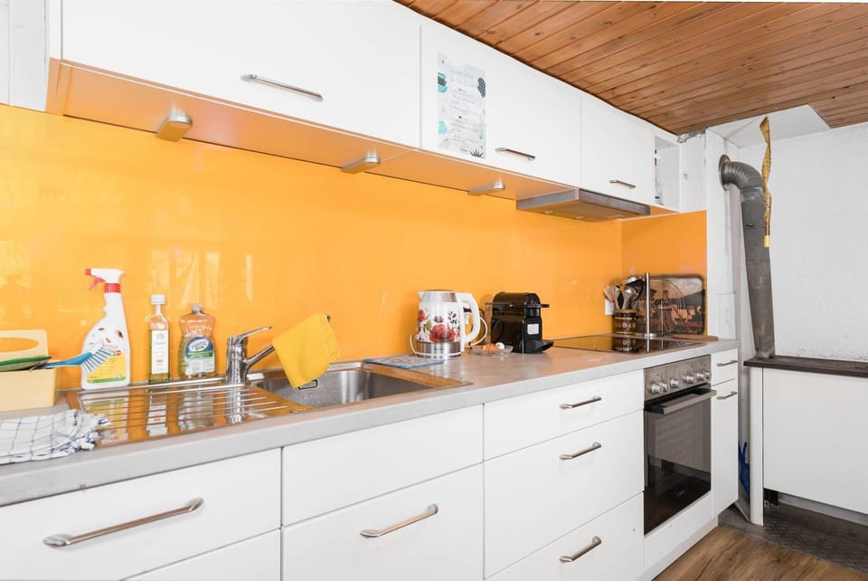 Alpine Chalet Apt near Interlaken Balcony&Parking Apartment in Canton of Valais