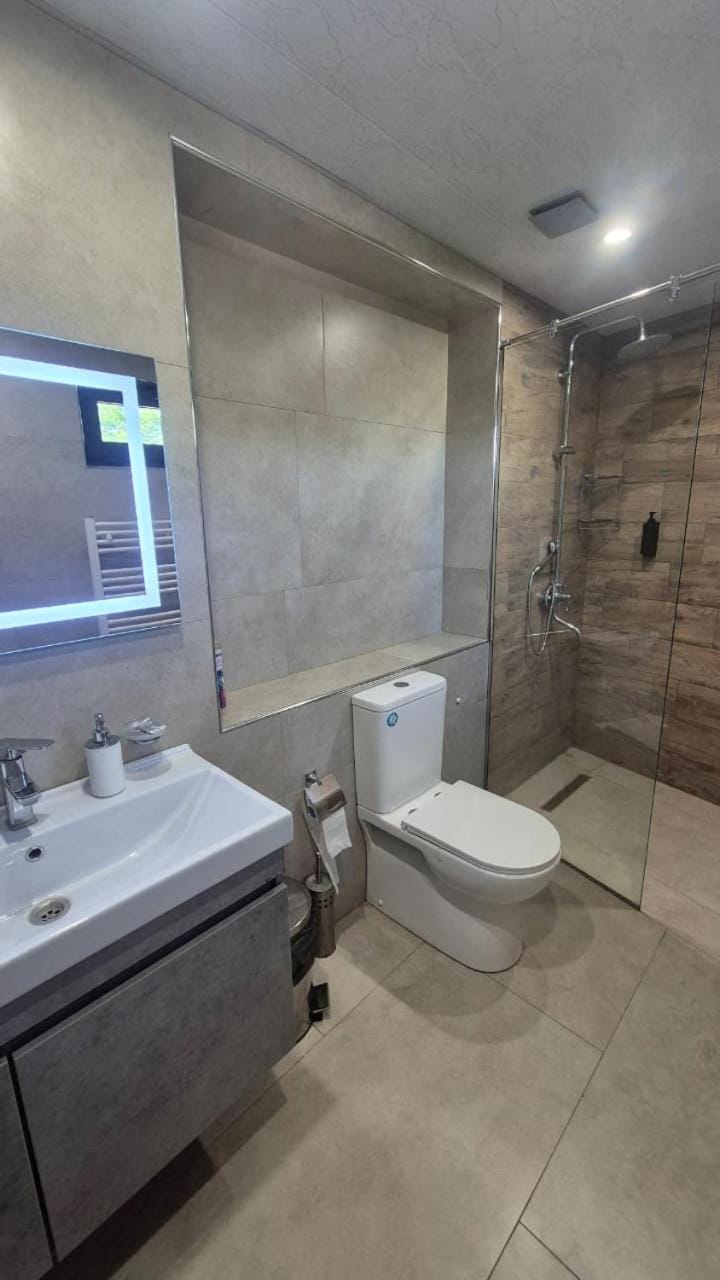Toilet, Bathroom, bidet