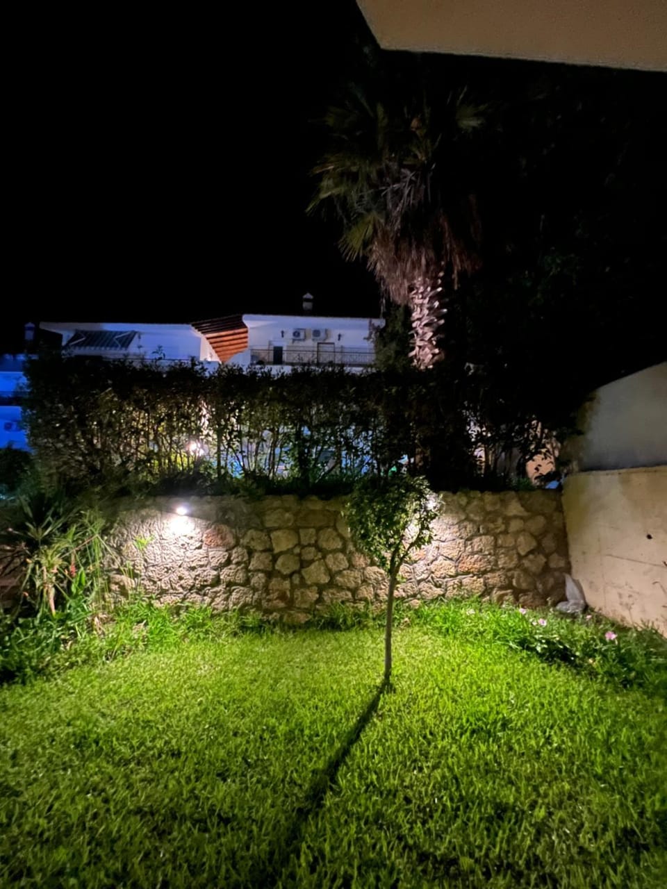 Night, Garden, Garden view