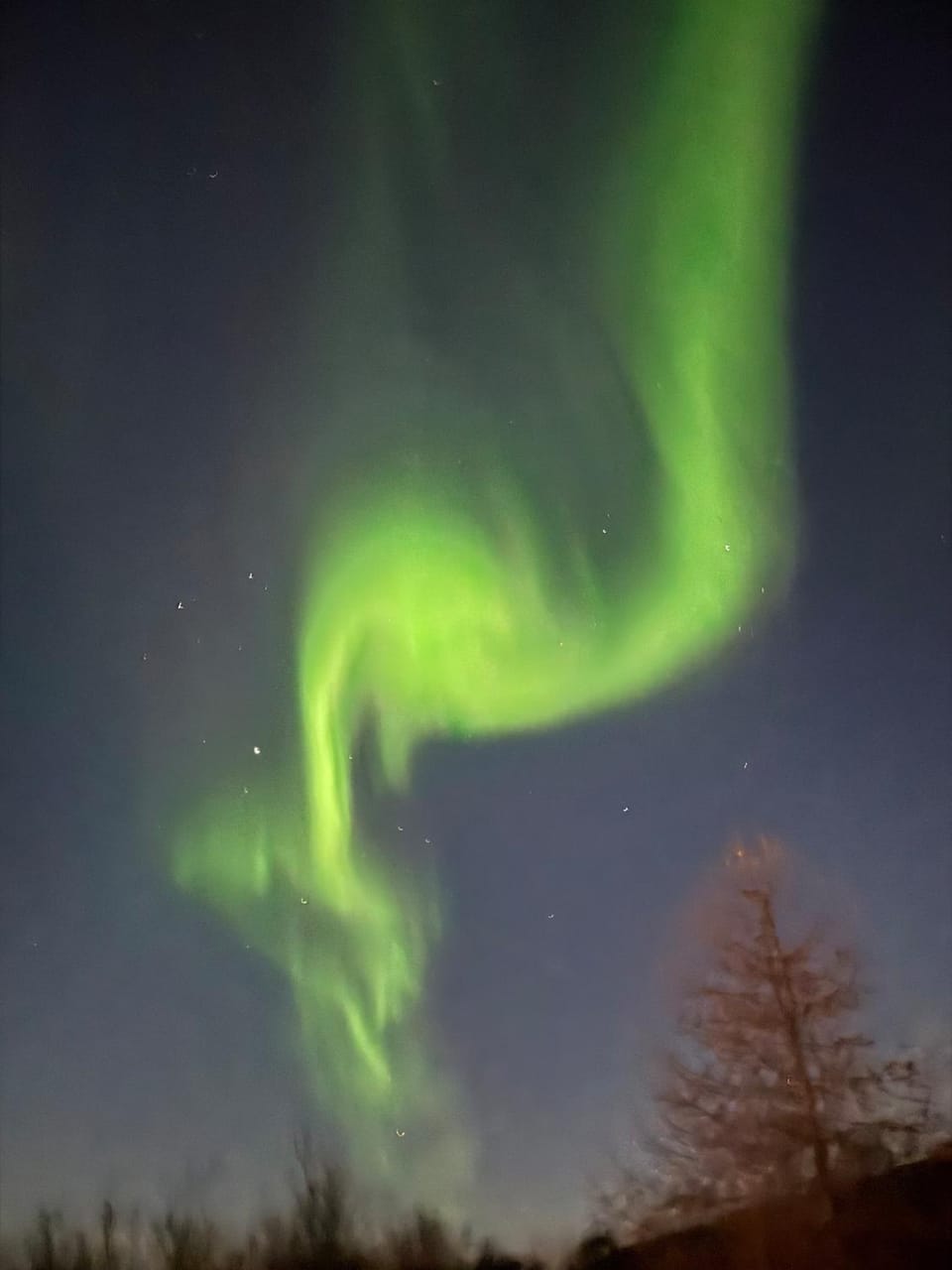 Hyggeli House in Troms Og Finnmark