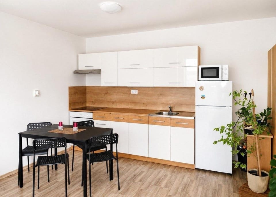 Family Comfort Apartment Apartment in Bratislava