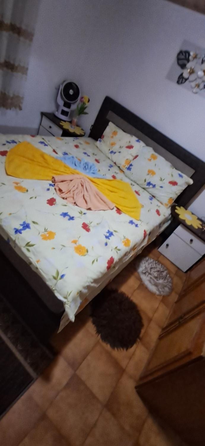 Mizo Apartman Apartment in Ulcinj Municipality