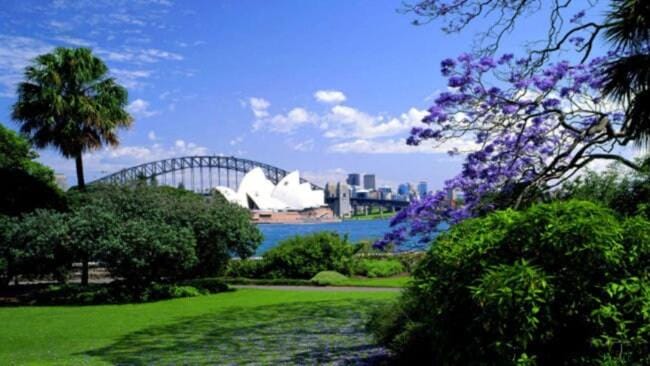 BEACHSIDE 1BR RETREAT with POOL Apartment in Sydney