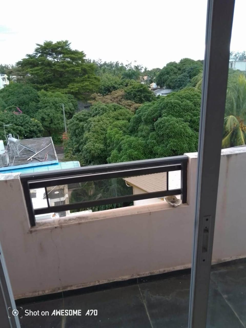 Day, View (from property/room)