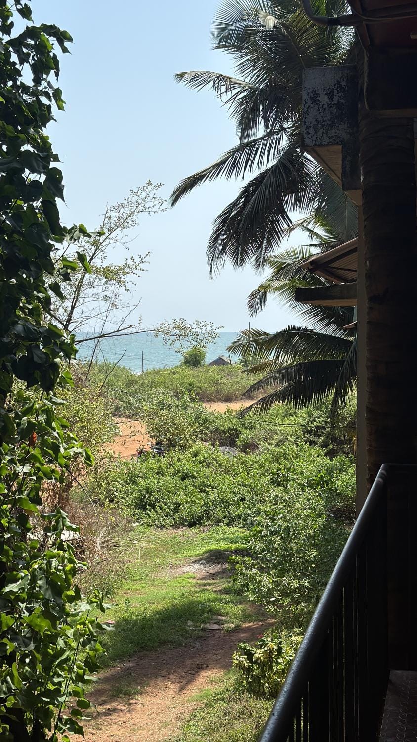 View (from property/room)
