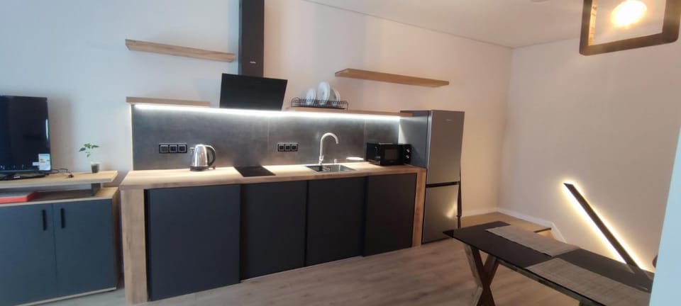 LOFT Smart-House with Private Garage Apartment in Kiev City - Kyiv