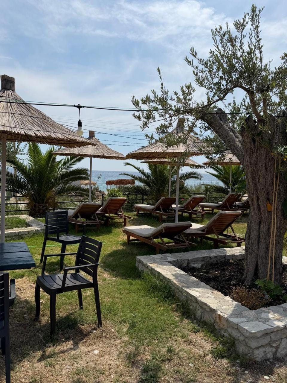 Garden, Garden, Garden view, Garden view