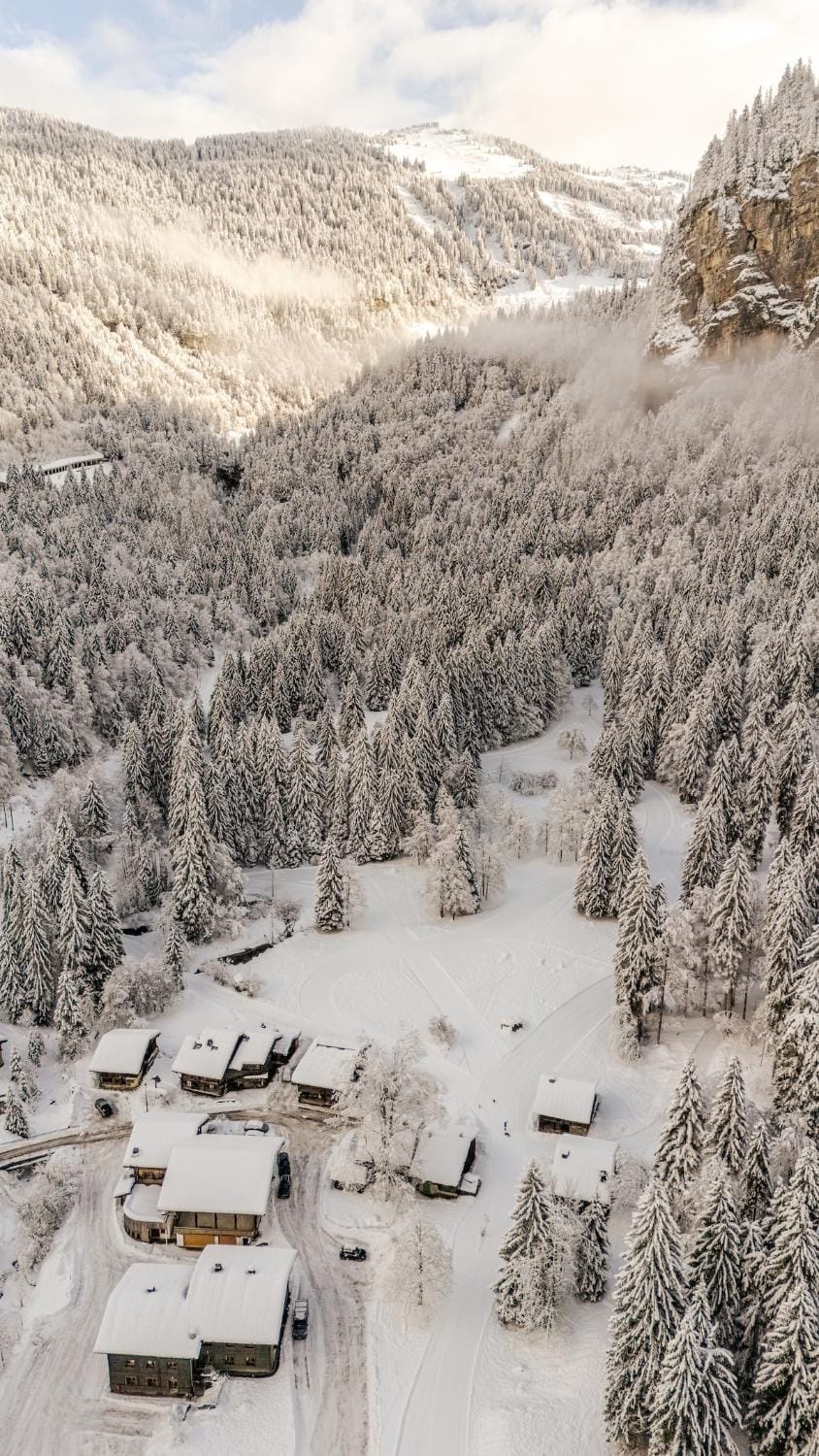 Chalet Truman near Lac de Montriond & Ardent Lift Chalet in Montriond