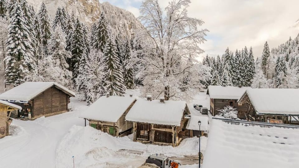 Chalet Truman near Lac de Montriond & Ardent Lift Chalet in Montriond