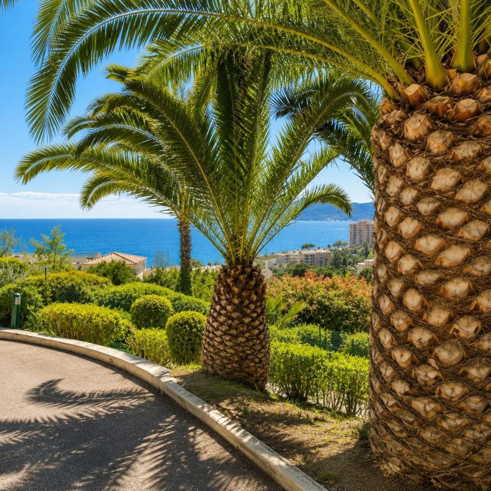 Natural landscape, Garden, Garden view, Sea view