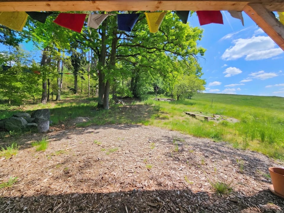 Garden view
