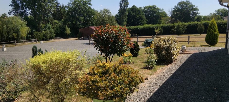 Garden, Garden, Garden view, Garden view