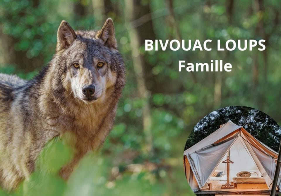 BIVOUAC Espace Rambouillet Parc forestier et animalier Luxury tent in Île-de-France