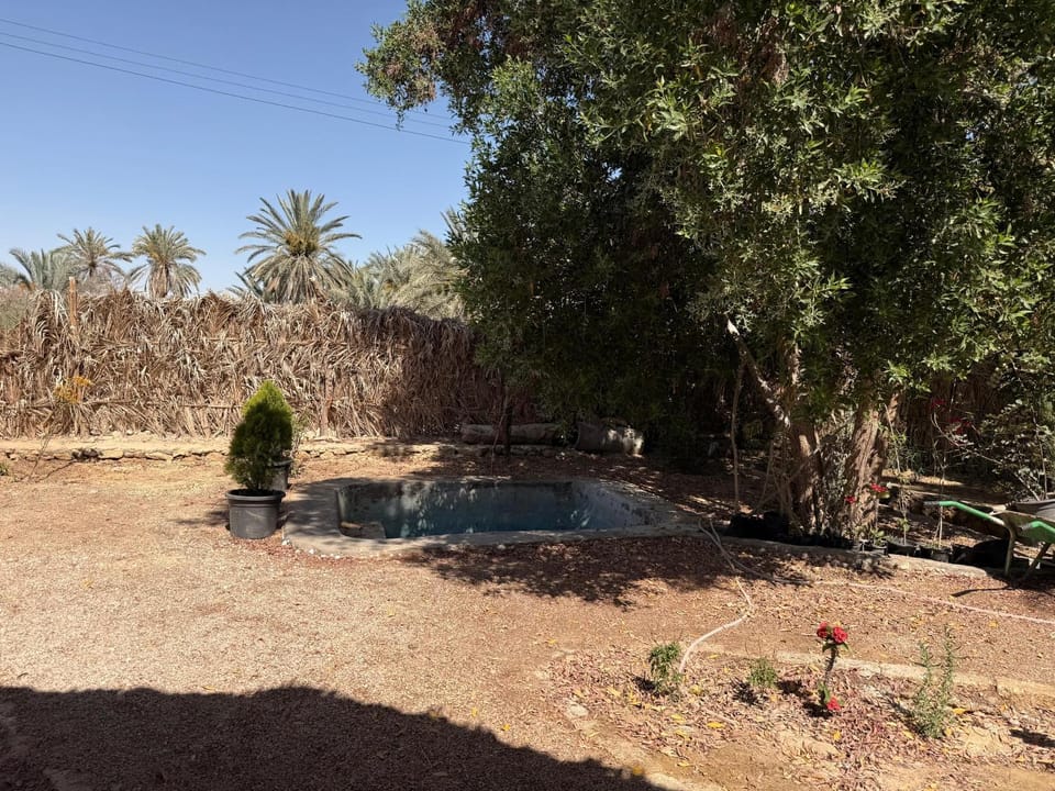 Garden, Pool view, Pool view, Swimming pool, Swimming pool