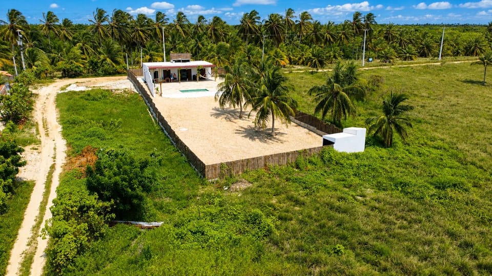 Bird's eye view, Garden
