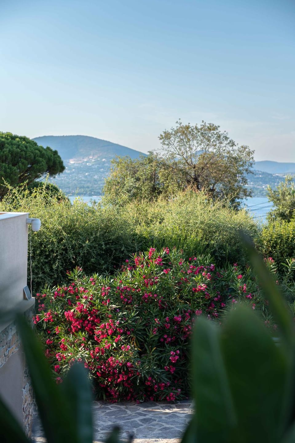 Villa Pinsons Saint Tropez Villa in Gassin