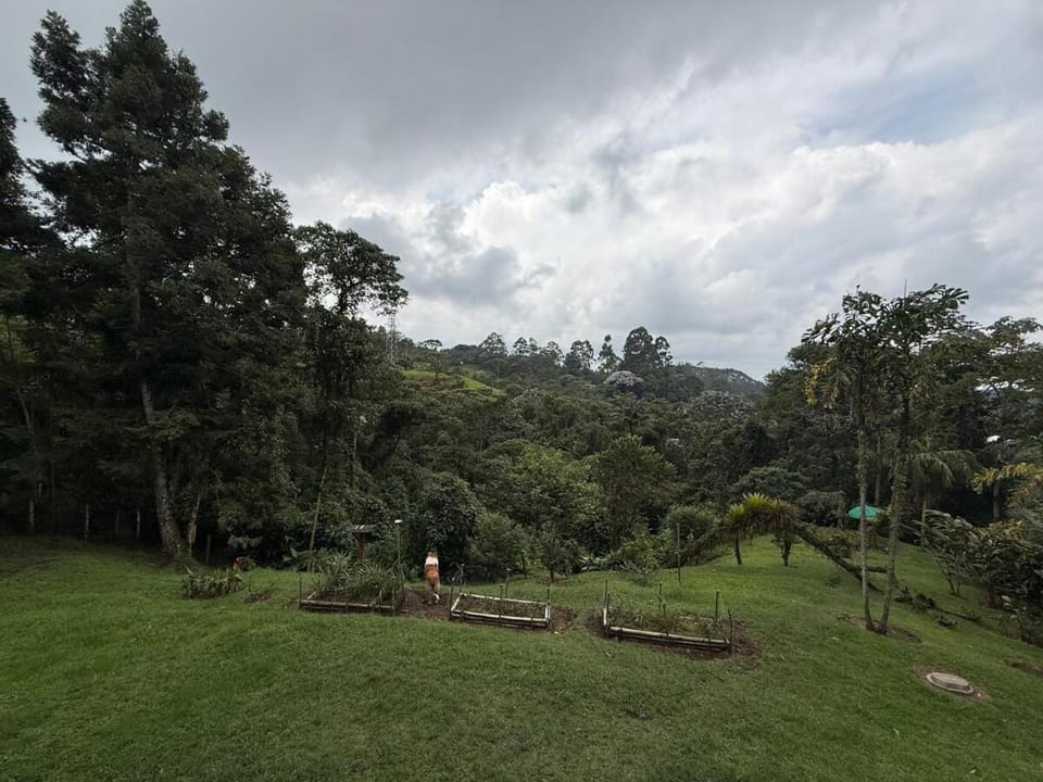 Natural landscape, Garden view