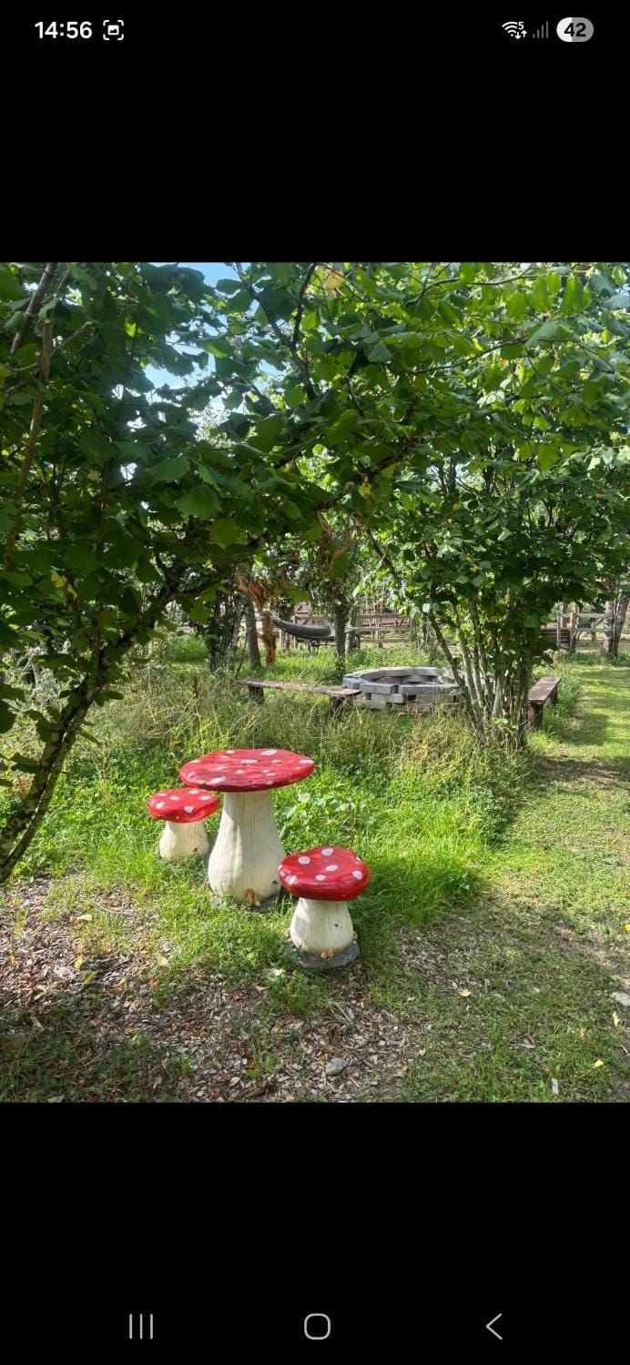 The Mid Devon Retreat Luxury tent in Mid Devon District