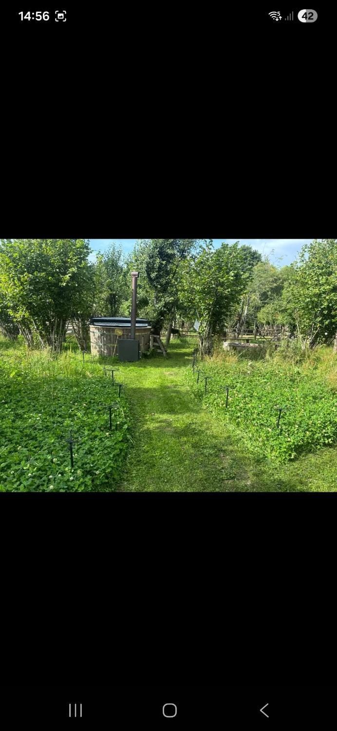 The Mid Devon Retreat Luxury tent in Mid Devon District