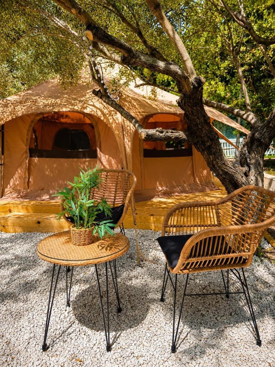 Pink lemon Galmping Luxury tent in Vega Baja del Segura