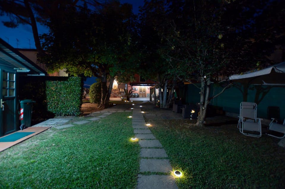 Night, Garden view
