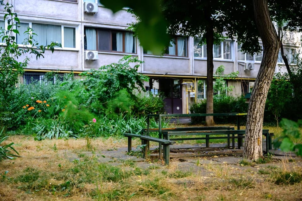 Property building, Natural landscape, Garden, Garden view