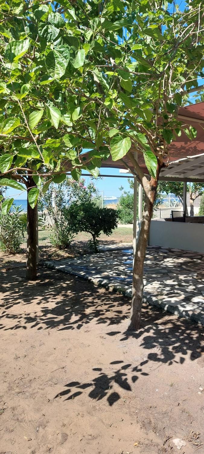 Day, Natural landscape, Garden, Garden view, Sea view