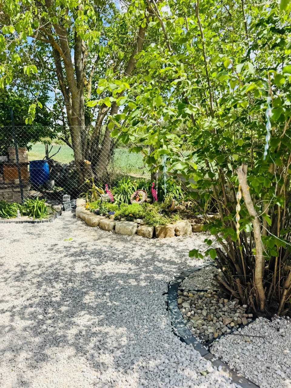 Garden view