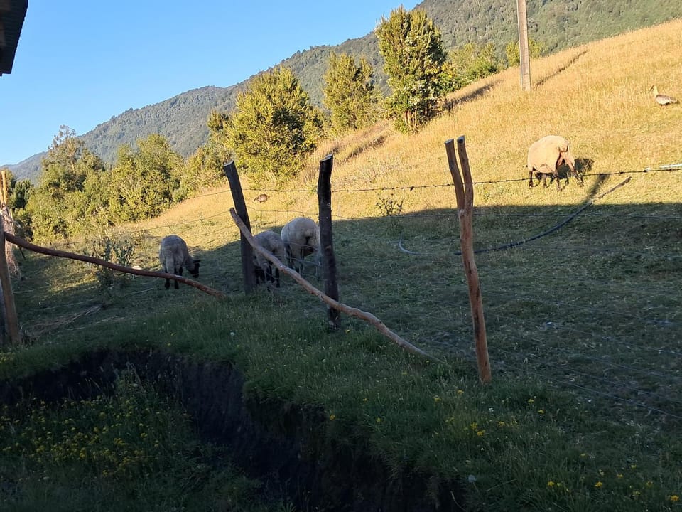 Cabaña Bellavista House in Los Lagos, Chile