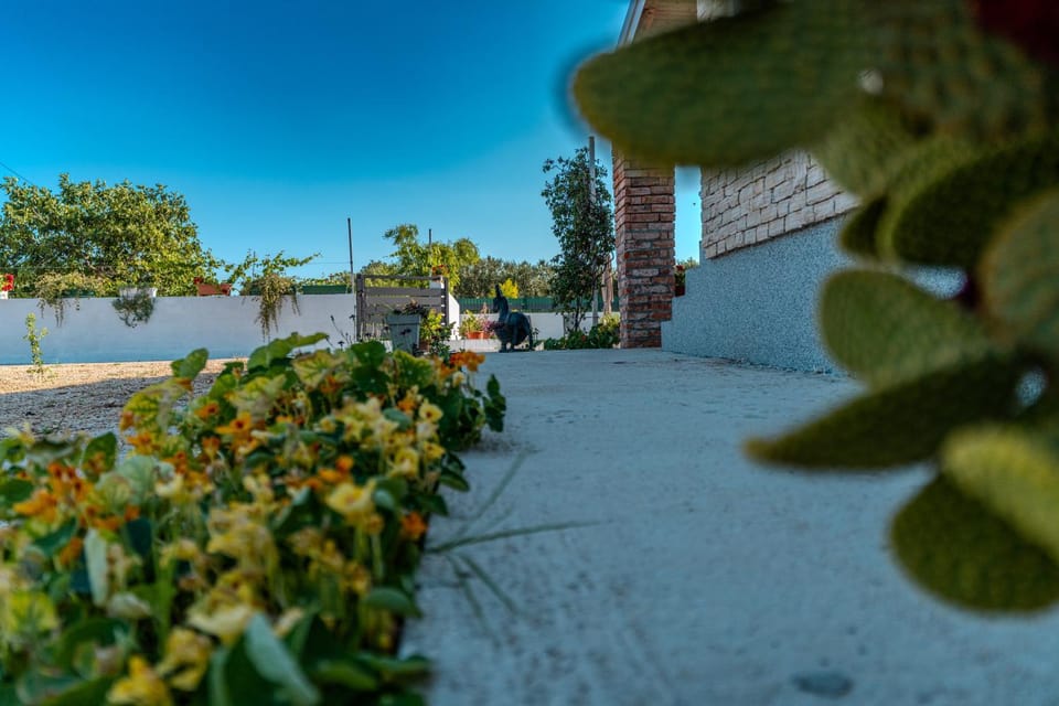 Garden, Garden view