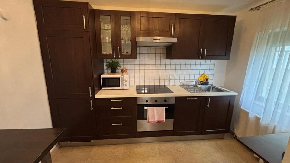 Alina Apartment in Graz