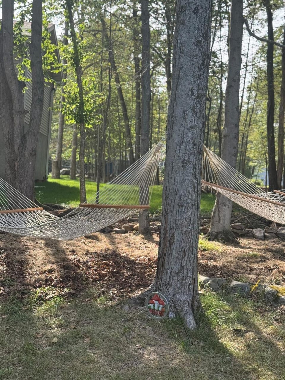 Activities