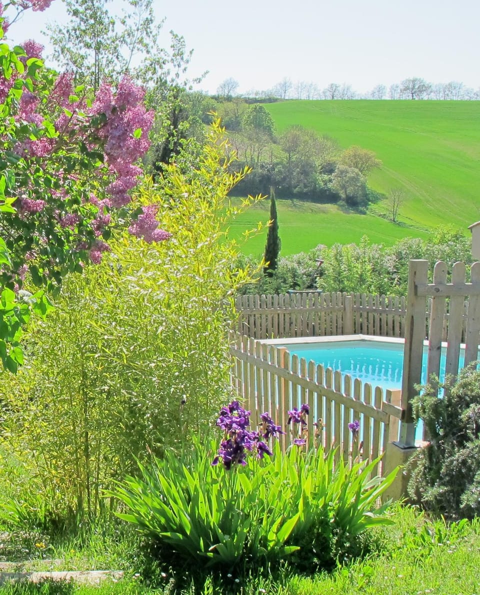 Garden, Garden view, Pool view, Swimming pool